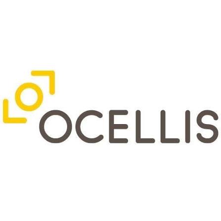 Ocellis